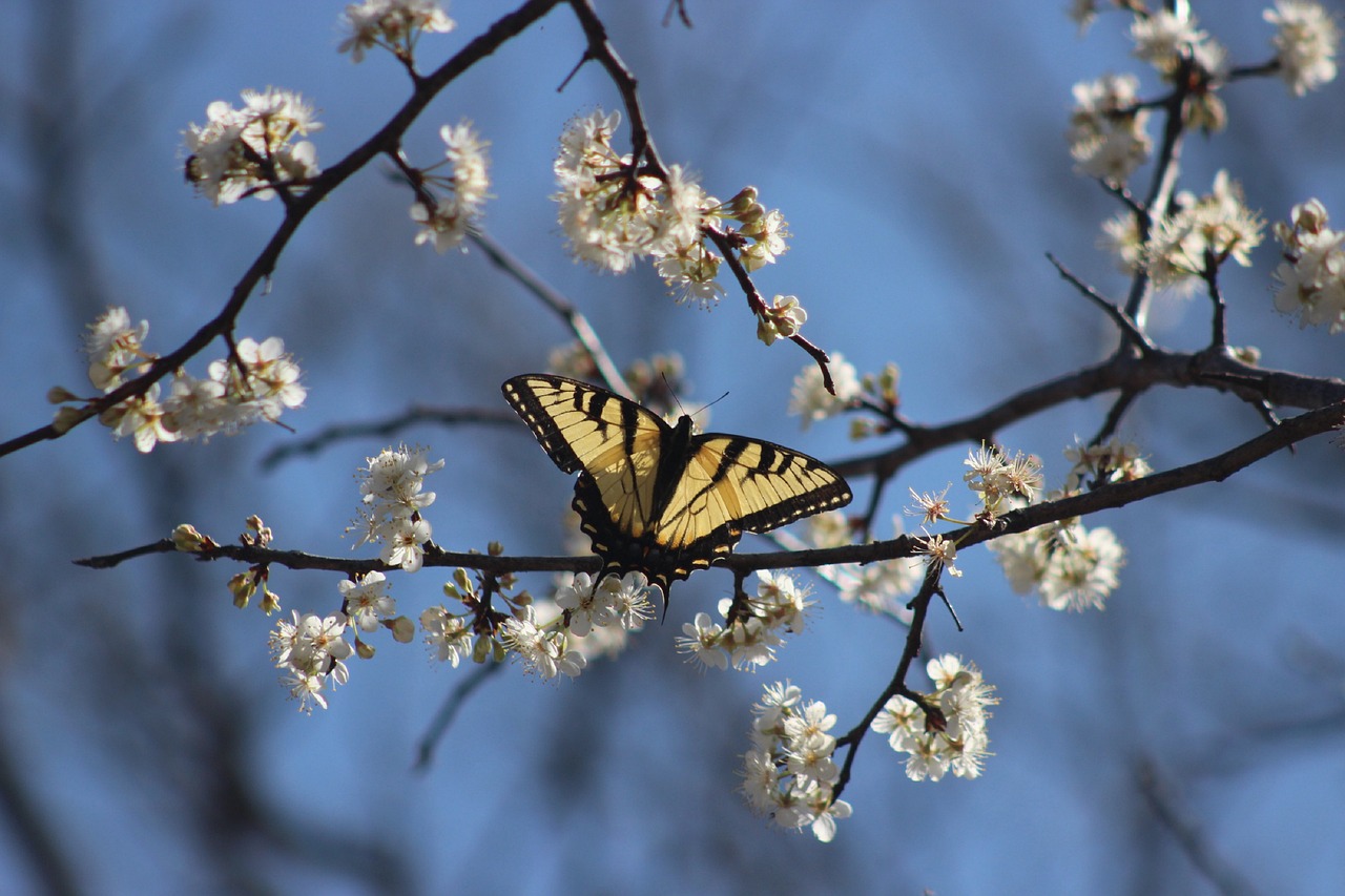 10 Easy Crafts to Celebrate Spring